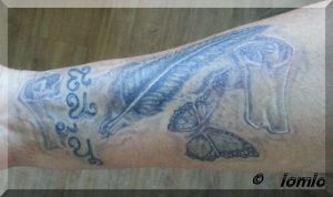 Feder Tattoo mit Schriftrolle und Schmetterling fast verheilt