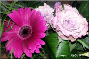 März Blumen für iomio von iomio